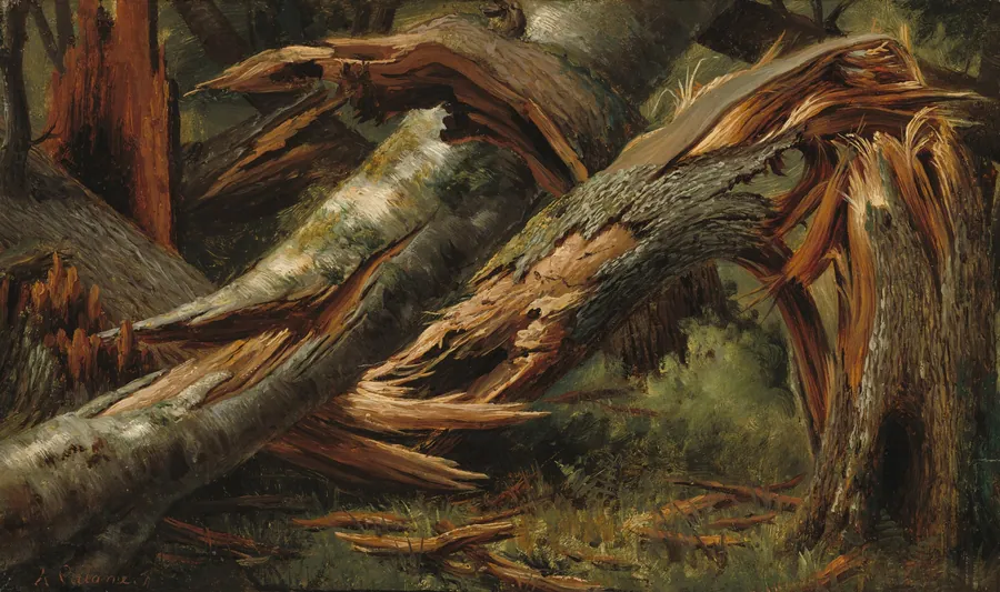 Fallen Tree by Alexandre Calame