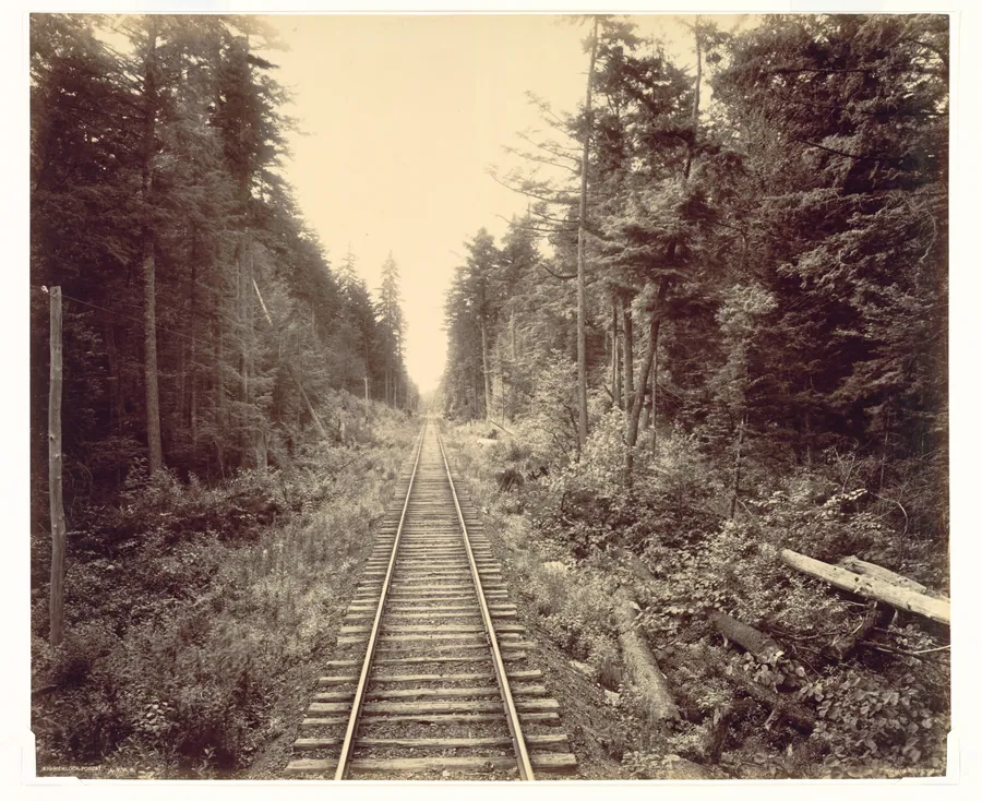 Hemlock Forest, Lehigh Valley Railroad by William H. Rau