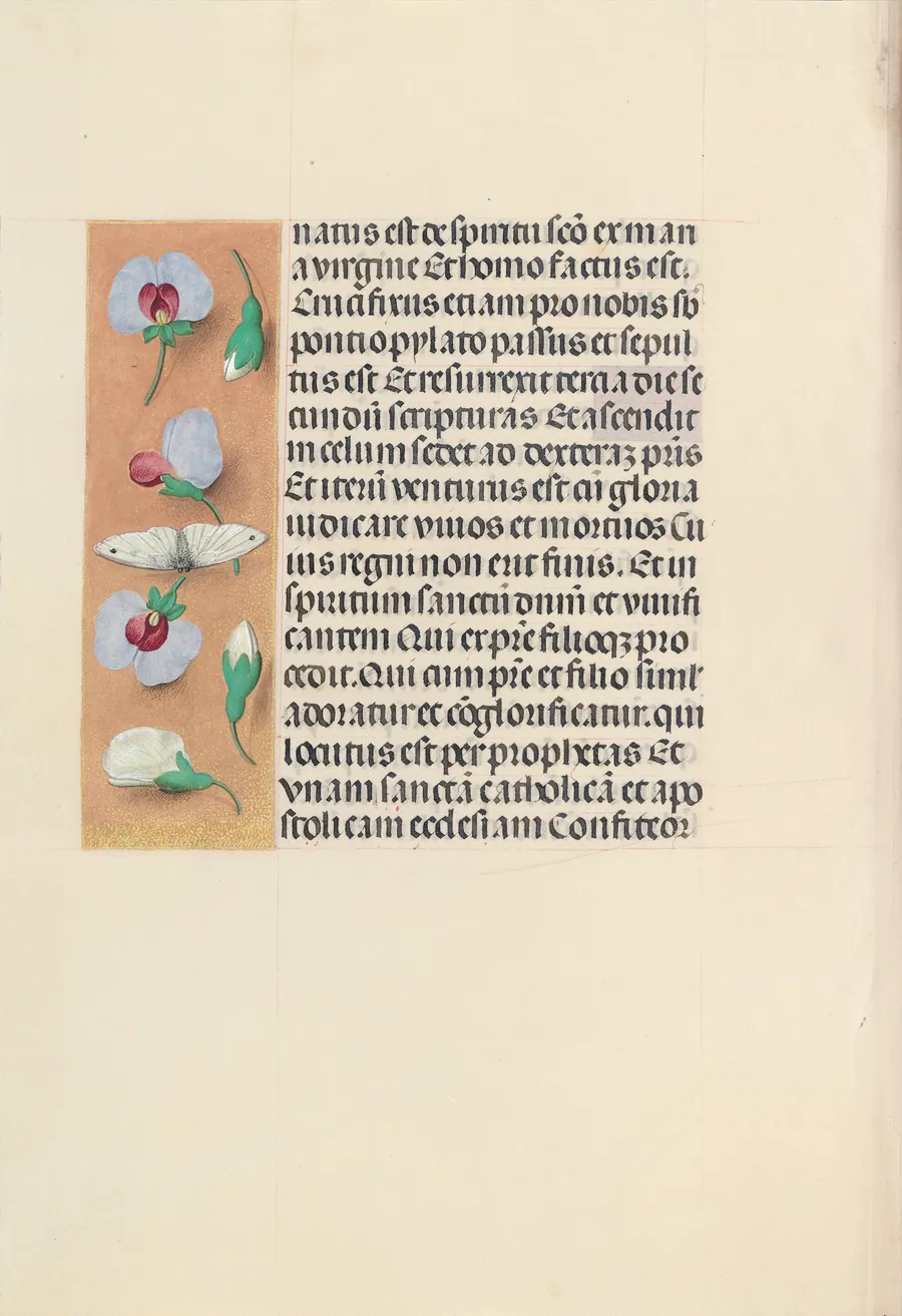Hours of Queen Isabella the Catholic, Queen of Spain:  Fol. 91v by Master of the First Prayerbook of Maximillian