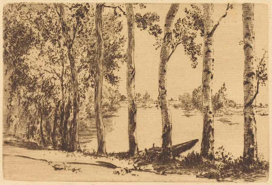 Trembles au bord de la Seine (Aspens on the Banks of the Seine) by Félix Bracquemond
