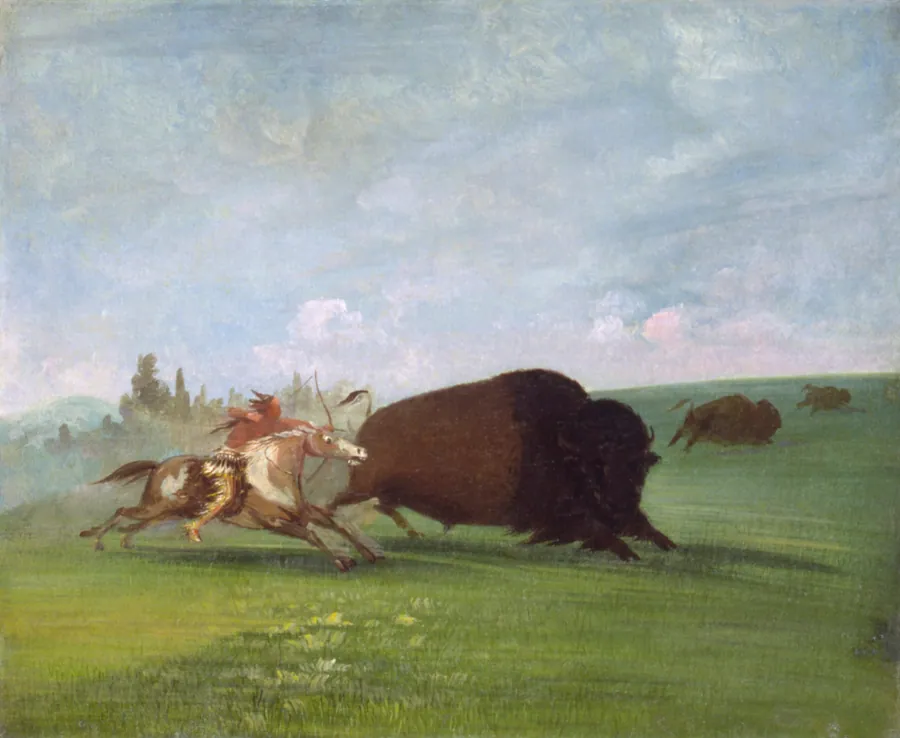 Buffalo Chase, a Single Death by George Catlin, born Wilkes-Barre, PA 1796-died Jersey City, NJ 1872