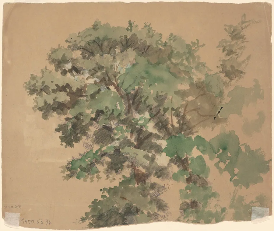 Tree [verso] by Enoch Wood Perry, Jr.