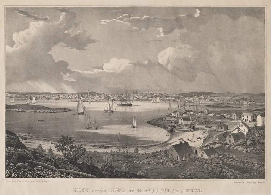 View of the Town of Gloucester, Mass. by Fitz Henry Lane