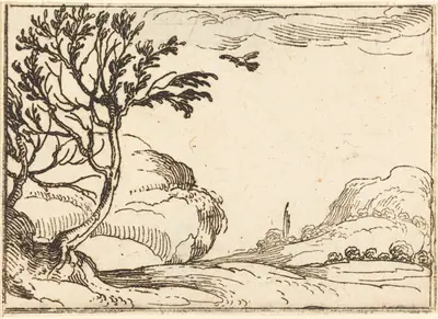 Turtle Dove Flying in the Desert