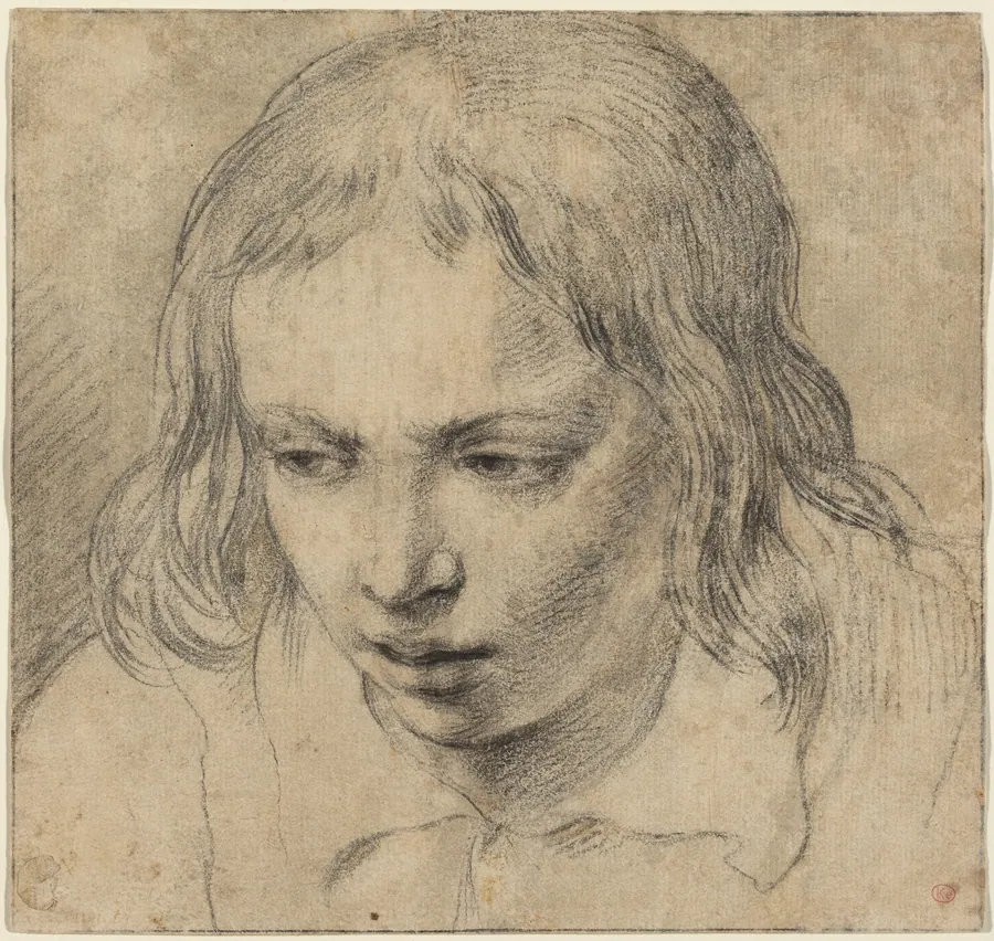 Head of a Young Man [recto] by Dutch 17th Century