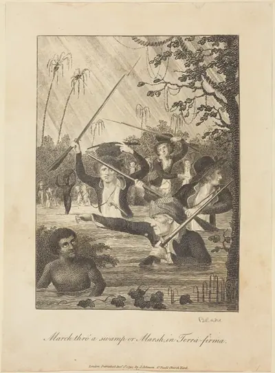 March thro' a swamp or Marsh in Terra-firma