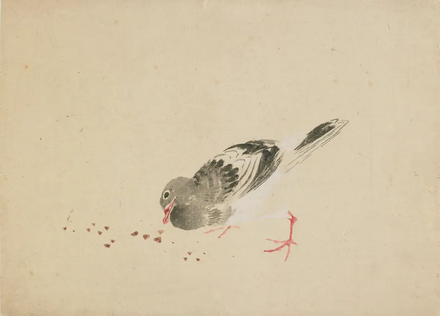 Pigeon by Katsushika Hokusai 葛飾北斎 (1760-1849)