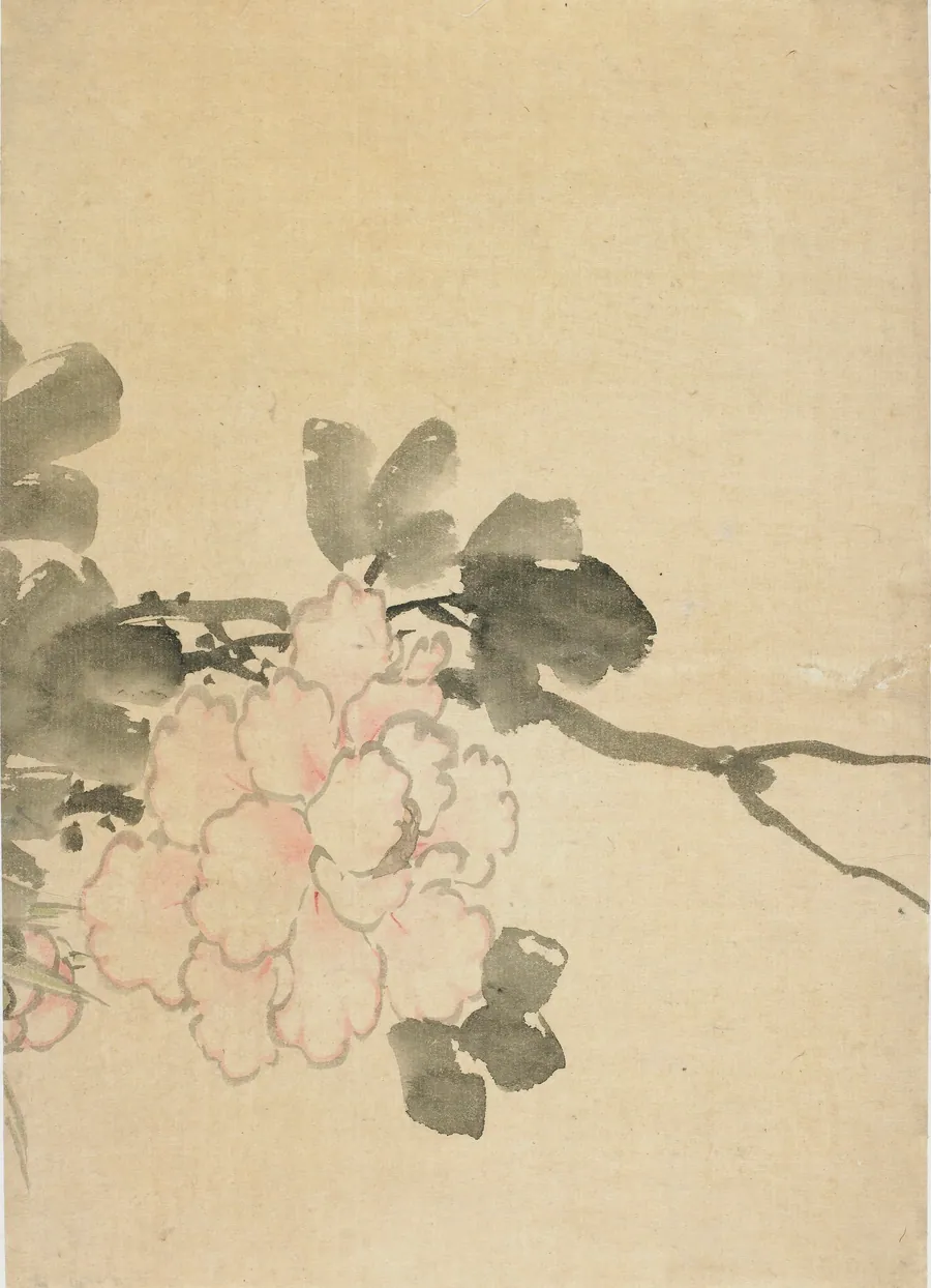 Peony by Katsushika Hokusai 葛飾北斎 (1760-1849)