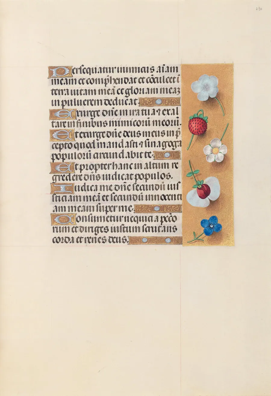 Hours of Queen Isabella the Catholic, Queen of Spain:  Fol. 230r by Master of the First Prayerbook of Maximillian