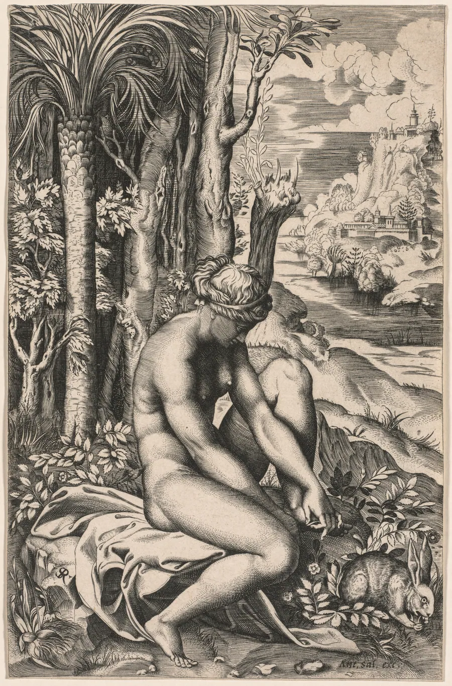 Venus Wounded by a Rose's Thorn by Marco Dente
