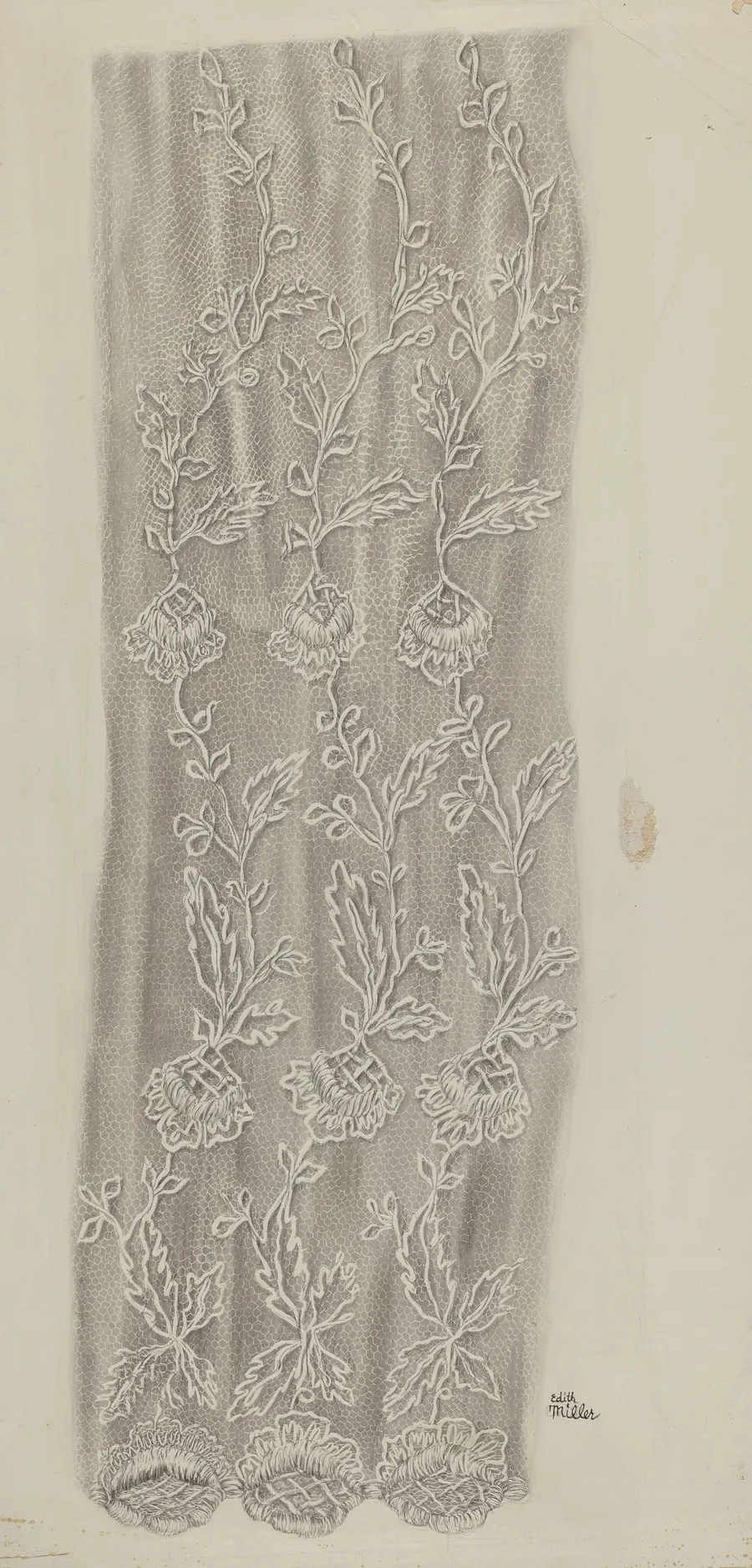 Lace Detail by Edith Miller