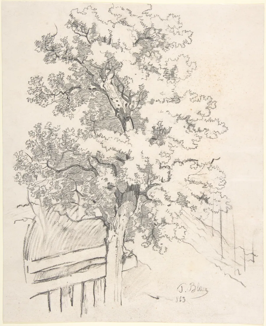 Study of a Tree by Tina Blau