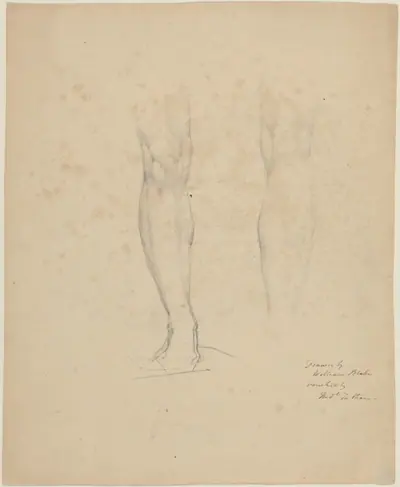Two Legs