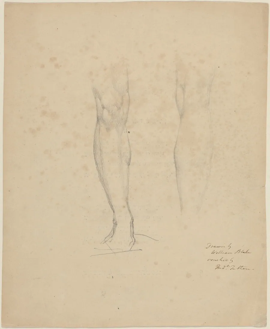Two Legs by William Blake