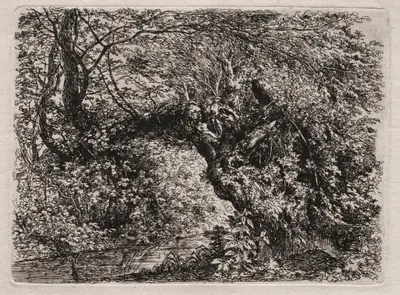 The Old Willow at a Brook