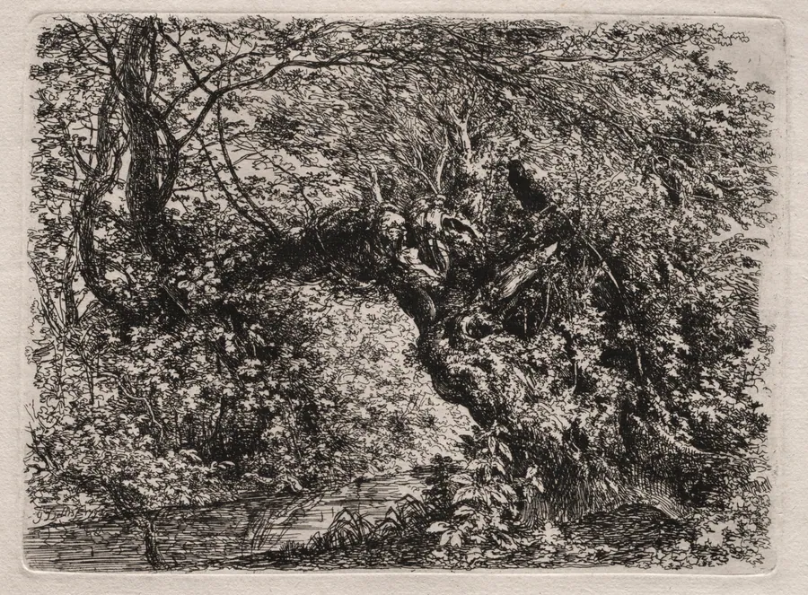 The Old Willow at a Brook by Georg von Dillis