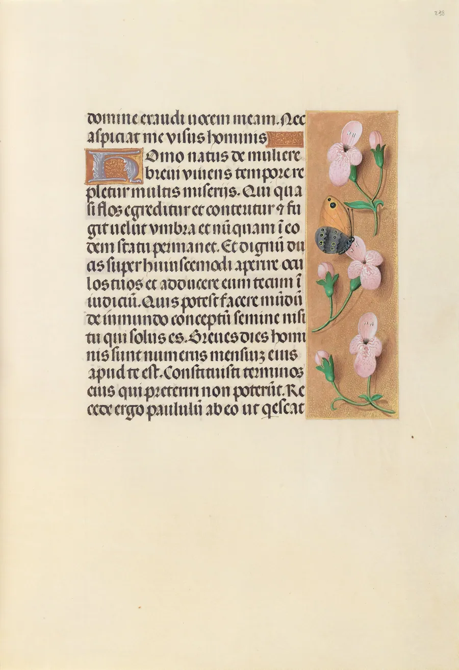 Hours of Queen Isabella the Catholic, Queen of Spain:  Fol. 238r by Master of the First Prayerbook of Maximillian