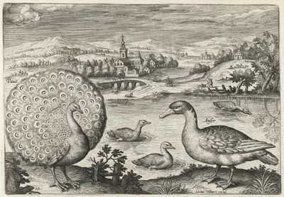 Peacock and Goose