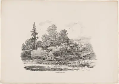 Forest Clearing with an Oak Trunk