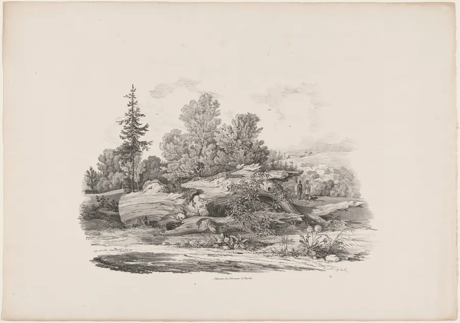Forest Clearing with an Oak Trunk by Carl August Lebschée