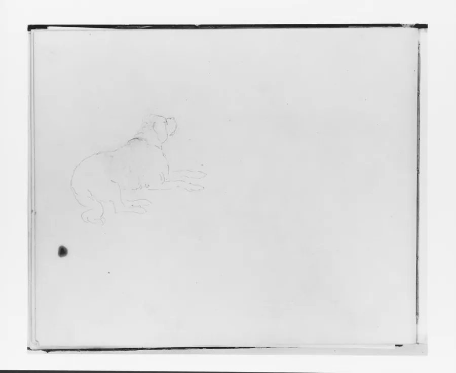 Sketch of a Hound (from Sketchbook) by Francis William Edmonds