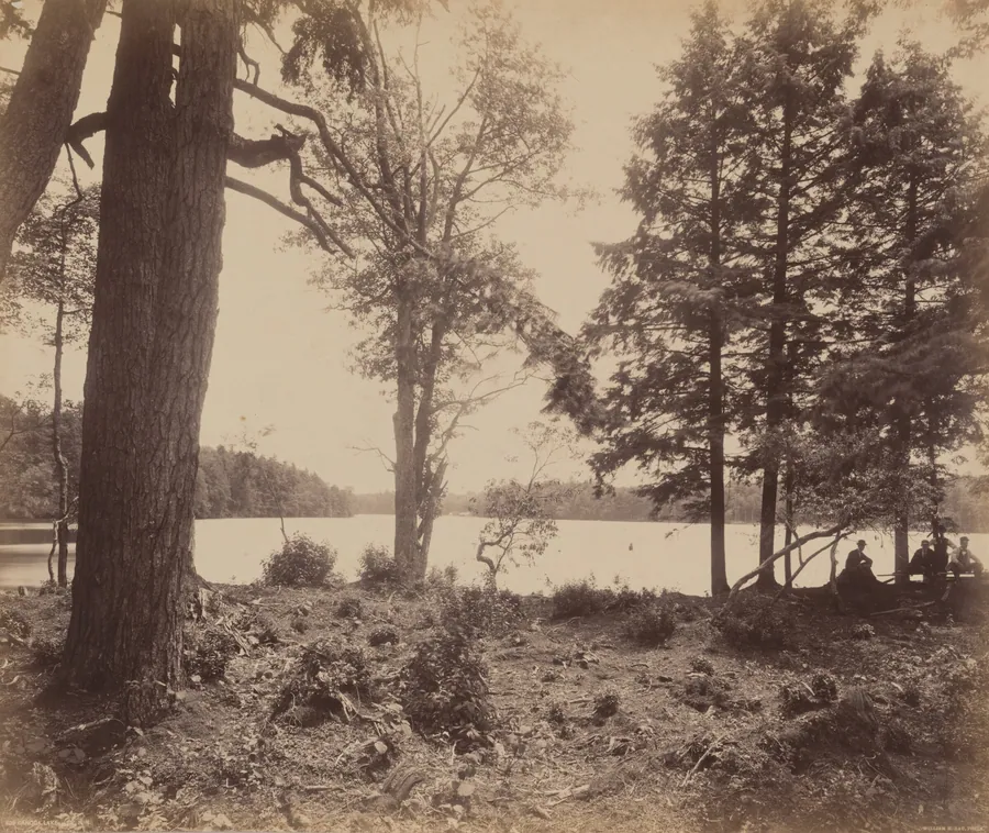Ganoga Lake by William H. Rau