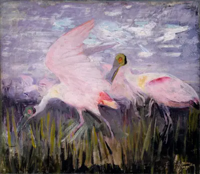 Roseate Spoonbills, study for book Concealing Coloration in the Animal Kingdom