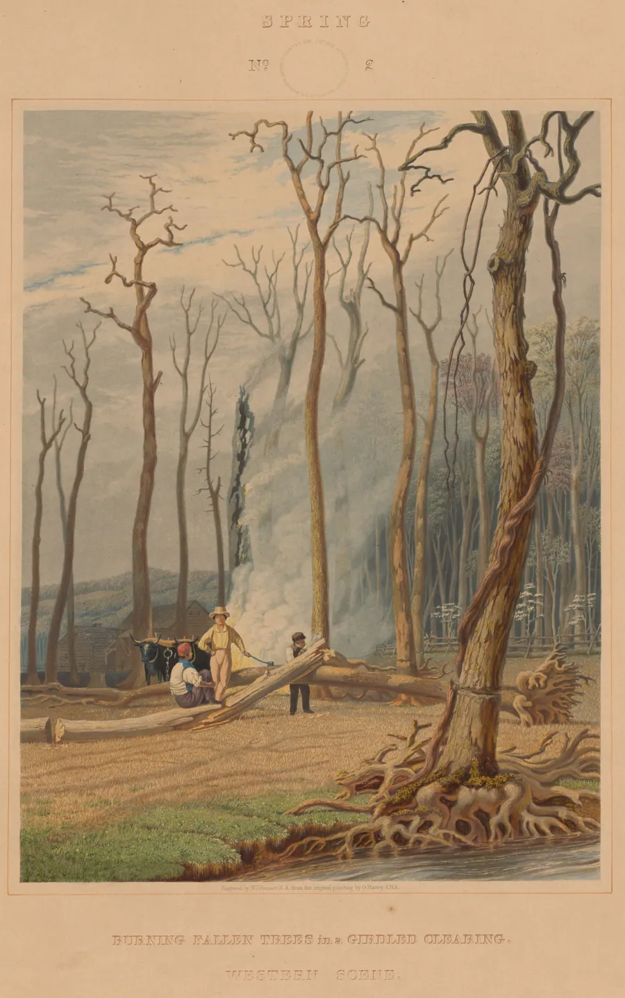 Spring--Burning Fallen Trees in a Girdled Clearing. Western Scene by William James Bennett