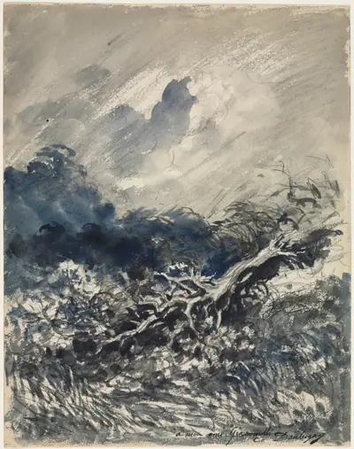 The Oak Tree and the Reed