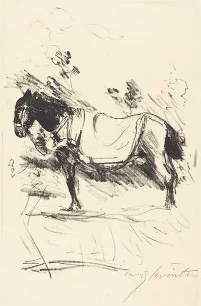 Reitpferd (Riding-Horse)