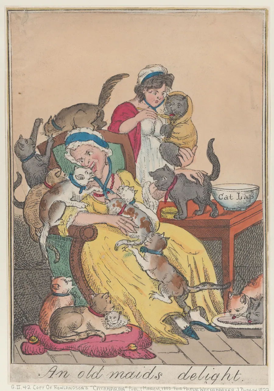 An Old Maid's Delight by Thomas Rowlandson