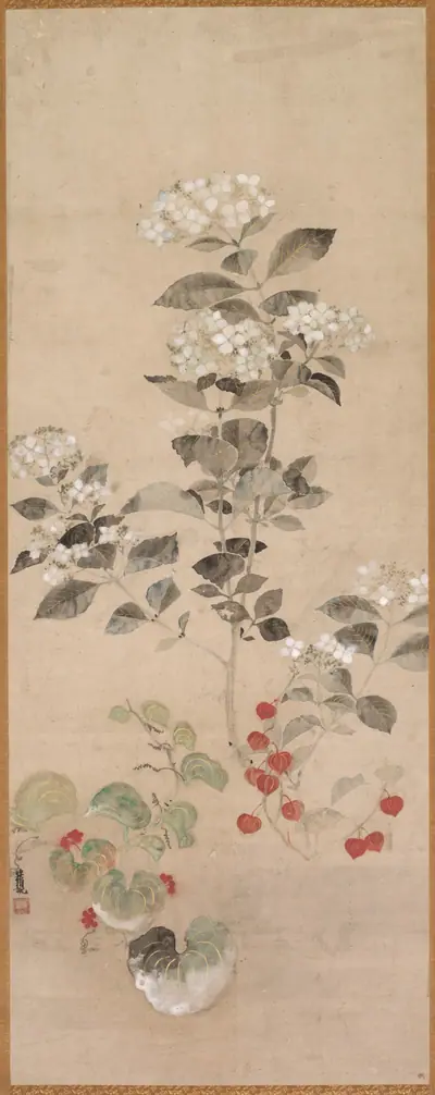 Summer Flowers