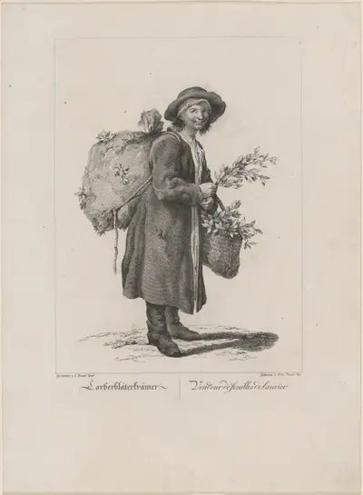 Lorberbläterkrämer (Bay Leaf Seller)