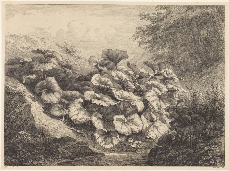Large Coltsfoot by Eugène Bléry