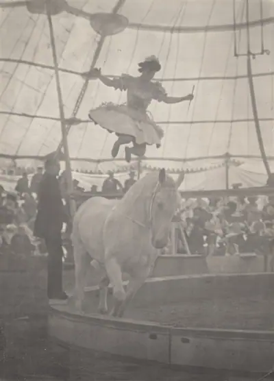 The Circus