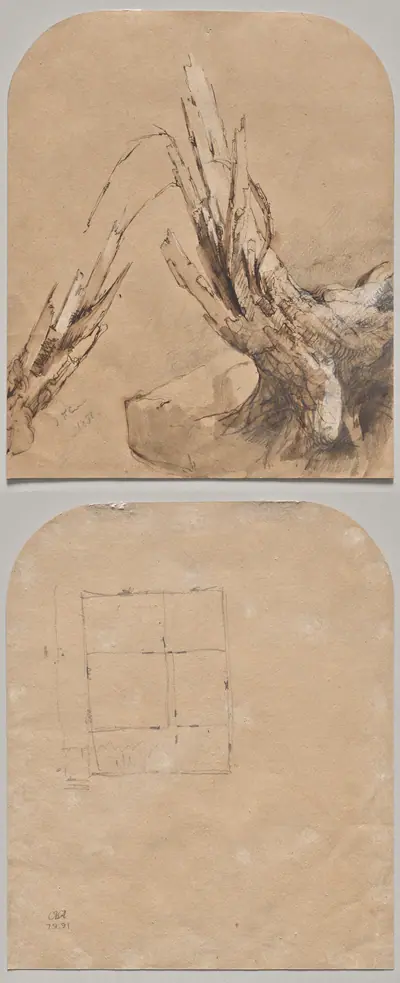 A Blasted Tree (recto) Floorplan (verso)