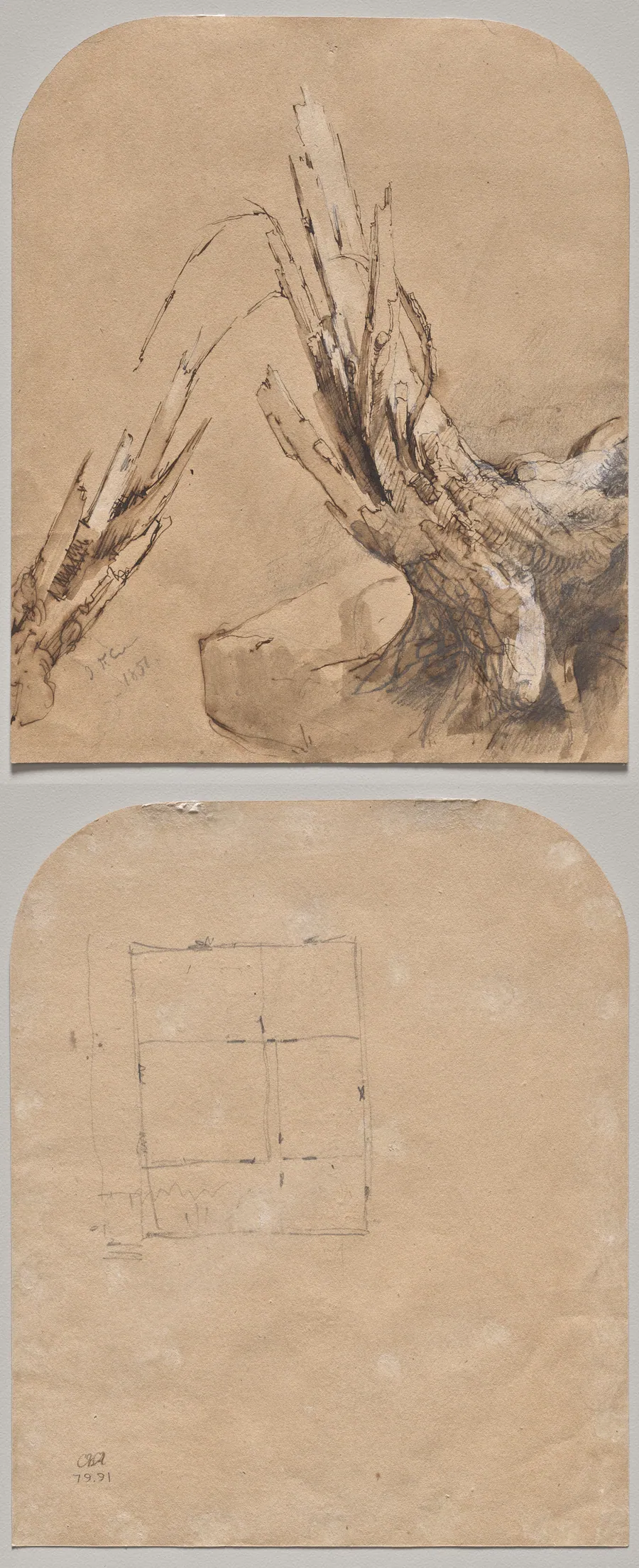 A Blasted Tree (recto) Floorplan (verso) by Jasper F. Cropsey