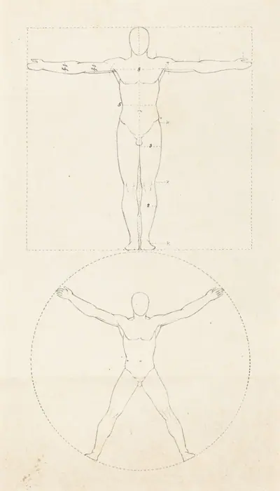Circle and Square of the Human Figure