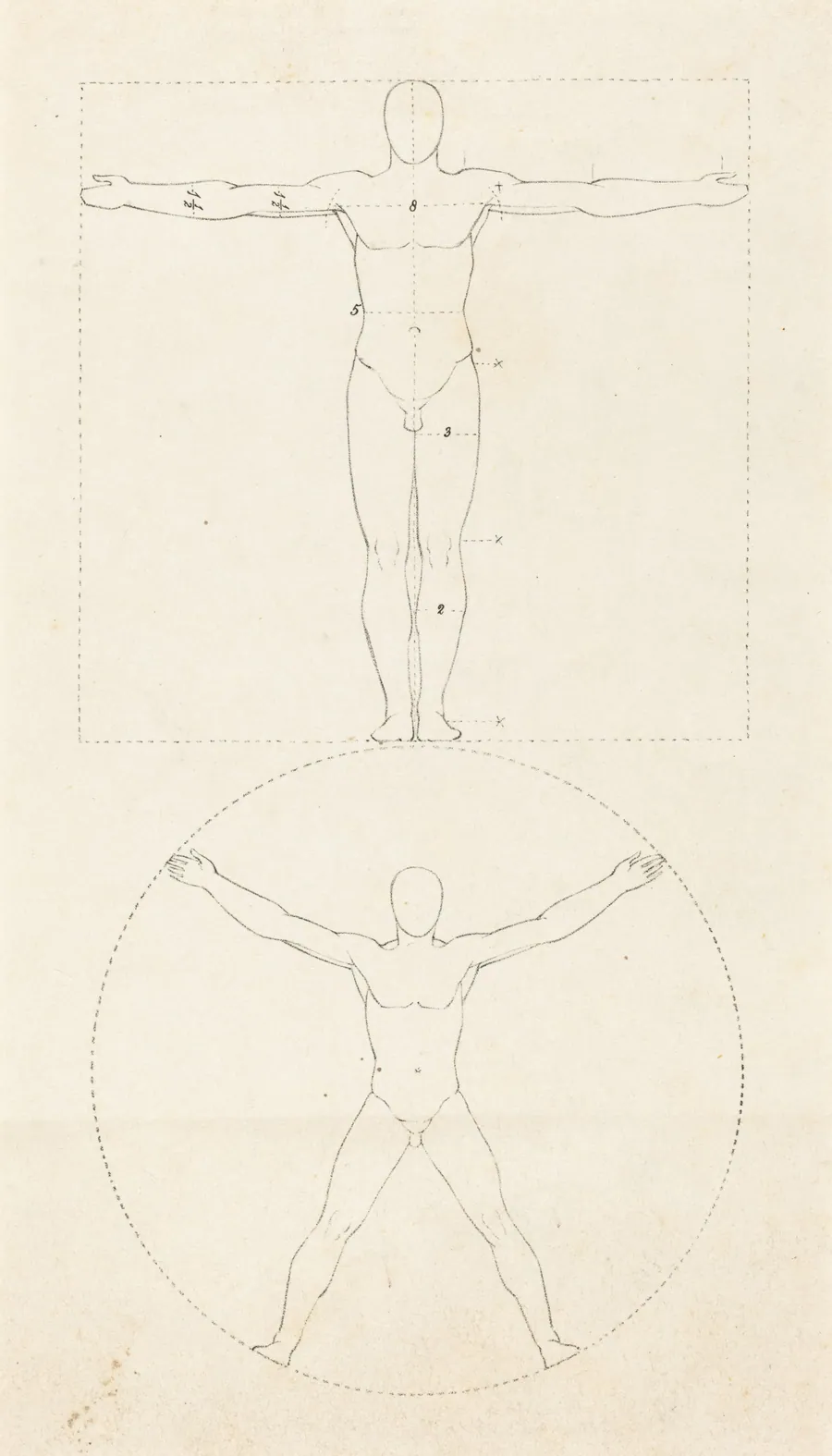 Circle and Square of the Human Figure by George Scharf