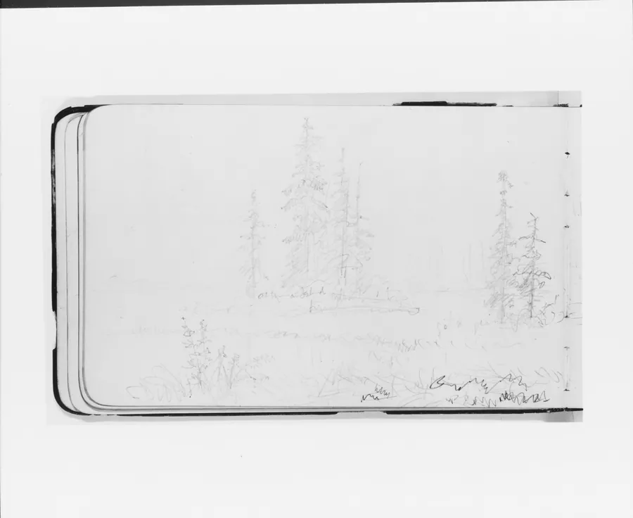 Mountain Landscape with River (Stave?), Trees, and Island (from Sketchbook) by Albert Bierstadt
