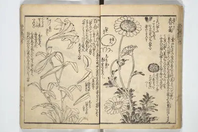 繪本彩色通 初編|Picture Book on the Use of Coloring, first volume (Ehon saishikitsū shohen) 繪本彩色通 初編