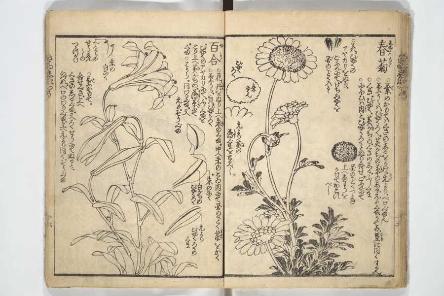 繪本彩色通　初編|Picture Book on the Use of Coloring, first volume (Ehon saishikitsū shohen) 繪本彩色通 初編 by Katsushika Hokusai 葛飾北斎