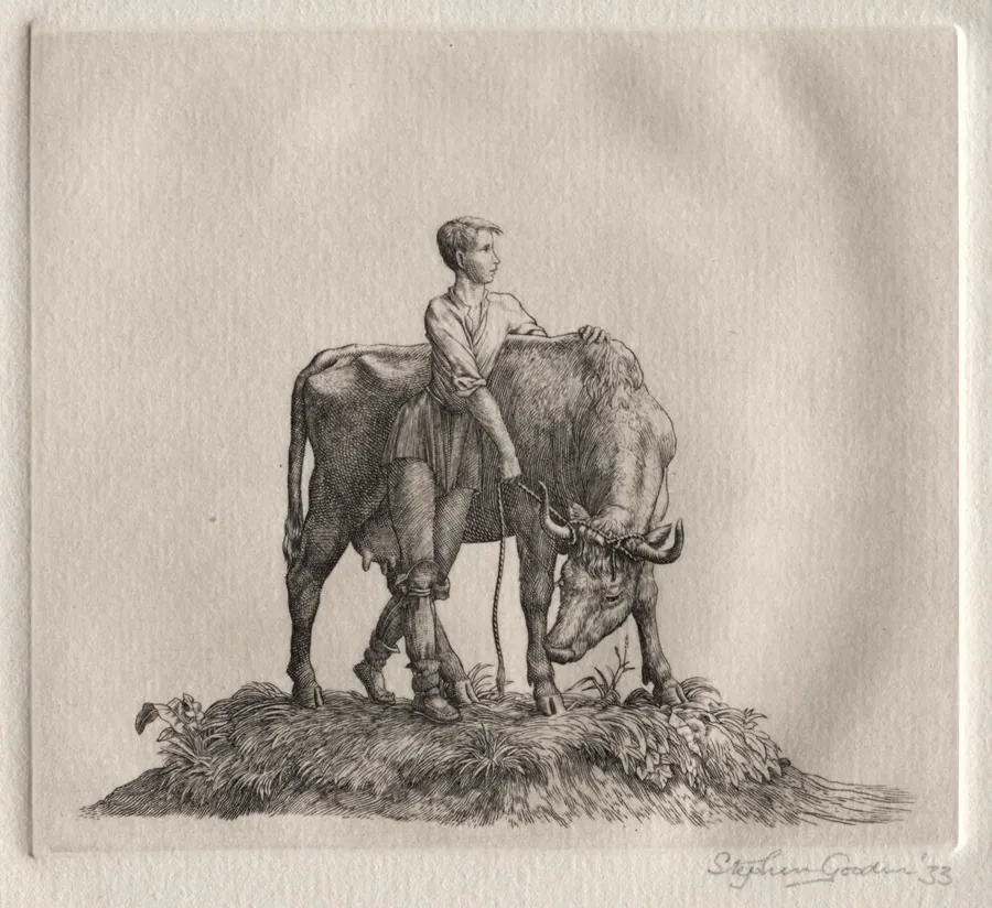Illustration for "Peronnik the Fool":  Frontispiece by Stephen Gooden