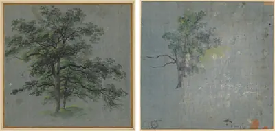 Two Trees (recto) Tree Studies (verso)