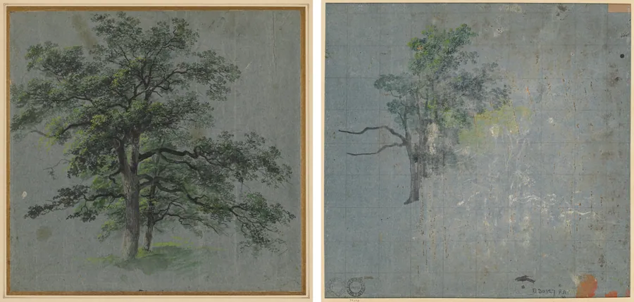 Two Trees (recto) Tree Studies (verso) by Johann Jacob Dorner