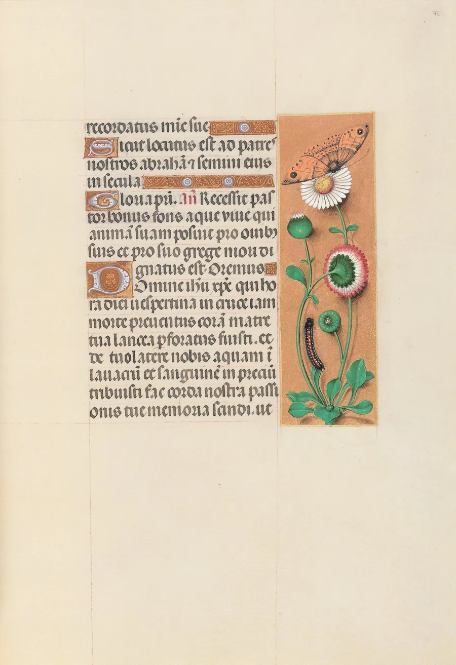 Hours of Queen Isabella the Catholic, Queen of Spain:  Fol. 76r by Master of the First Prayerbook of Maximillian