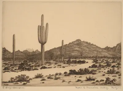 Road to Paradise Valley, Arizona