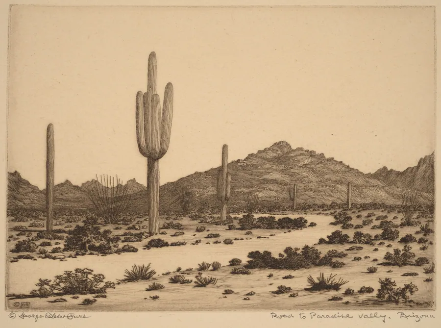 Road to Paradise Valley, Arizona by George Elbert Burr