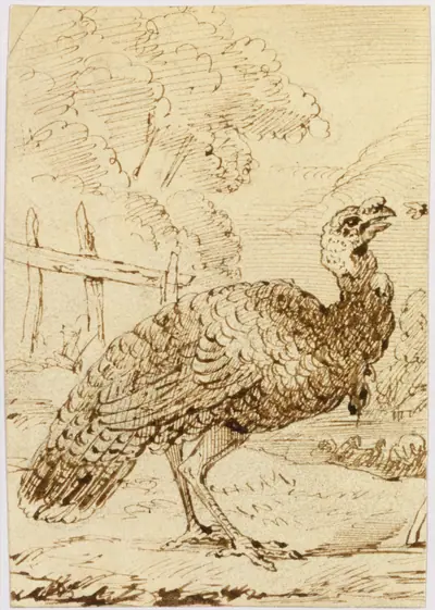 Turkey