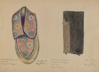 Moccasin